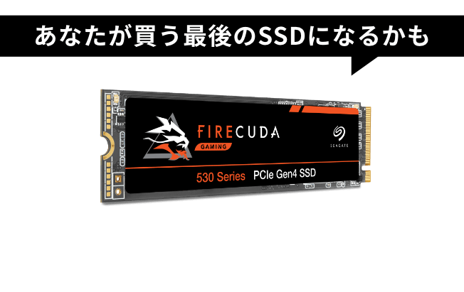あなたが買う最後のSSDになるかも