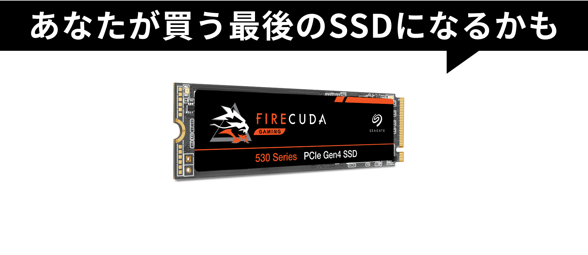 あなたが買う最後のSSDになるかも